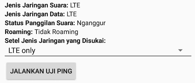 Lock Jaringan Menjadi 4G Only Pada Smartphone