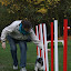 Agility - agility 2008-11-11