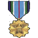 파일:TRD_Medal2.png