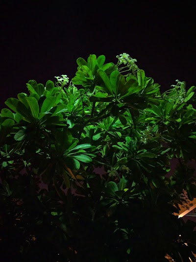 Photos of Andalus Garden Car Park
