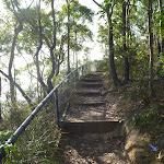 Lake Macquarie on view for much of the Foreshore Track (389891)