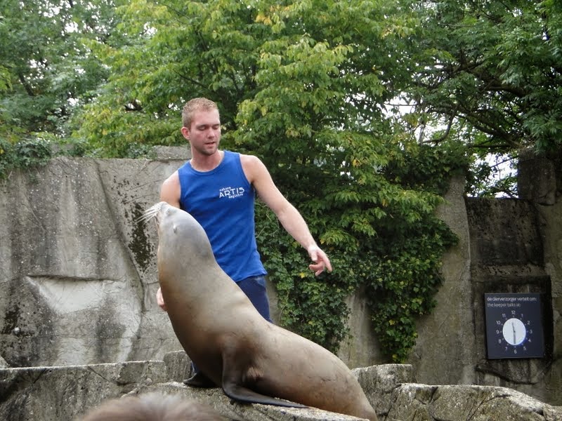 Две столицы: Амстердам и Брюссель (сентябрь 2014)