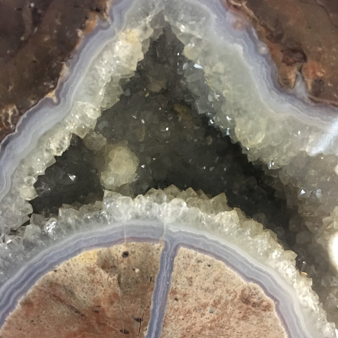 Petrified Wood Geode Pair