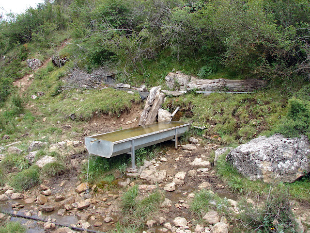 Senderismo - Linares de Mora - Pistas de esquí - Monegro - Molinete - Pino Escobón