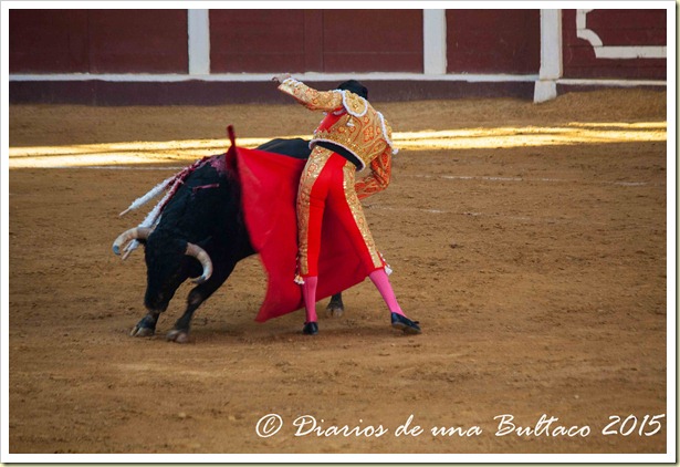 Toros Feria 2015-9796