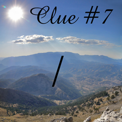 Clue #7