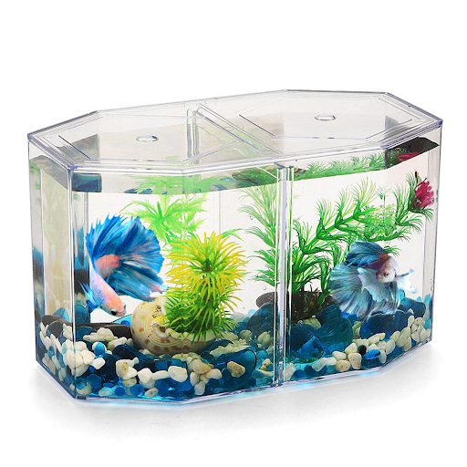 Plastic Fish Bowls Divider Tank Supply Isolation Box Breeding Tanks Octopus Container Acrylic Baby