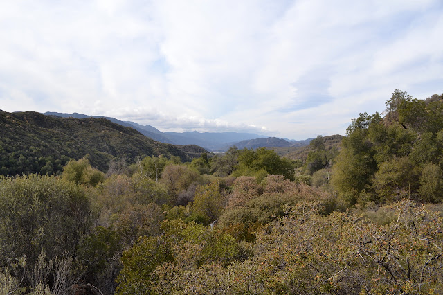 down the canyon