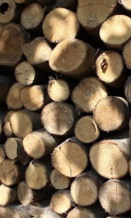 Lastest Wood still life APK for Android