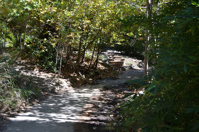 remains of the house at the end of the road