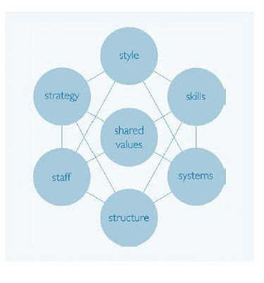 McKinsey%25207S%2520Framework.JPG