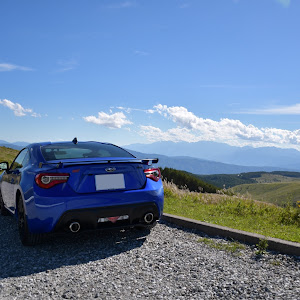 BRZ ZC6