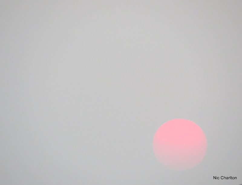 IMAGE: https://lh3.googleusercontent.com/-08sISOz2KMs/VsLOPDI9PAI/AAAAAAAAeH0/1mhaxL7Mn5A/s800-Ic42/IMG_7135.JPG