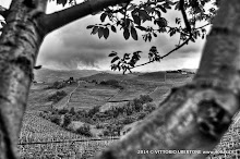 21 aprile 2014 Castiglione Tinella - fotografia di Vittorio Ubertone