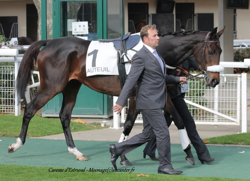 Photos Auteuil 7-11-2015 (48h de l'obstacle) IMG_6254