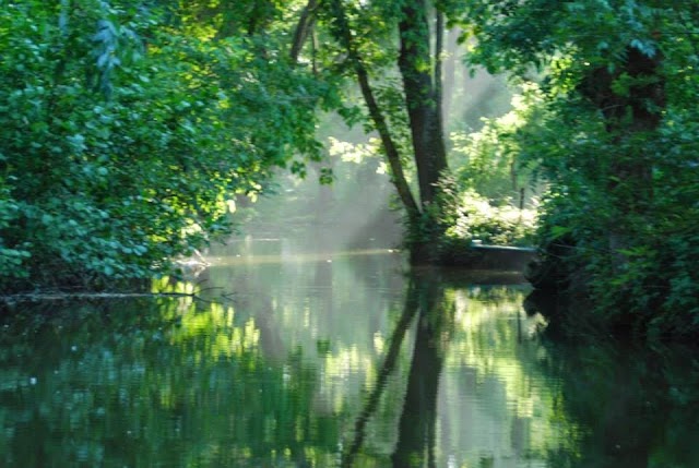 Embarcadere de la Venise verte