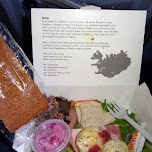 outstanding lunch on Icelandair - Christmas Lunch in Reykjavik, Iceland 