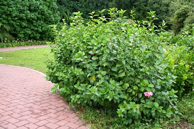 Photos of Jard&iacute;n Bot&aacute;nico-Hist&oacute;rico La Concepci&oacute;n