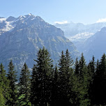 view of the First Mountain in Grindelwald, Switzerland 