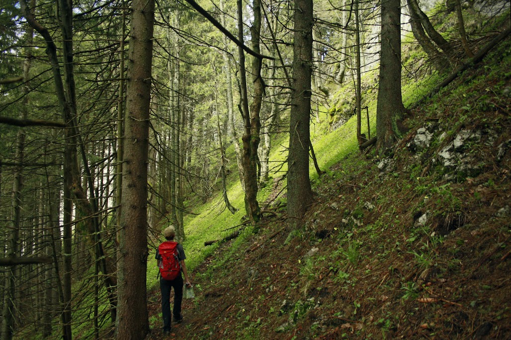 Południca Tatry