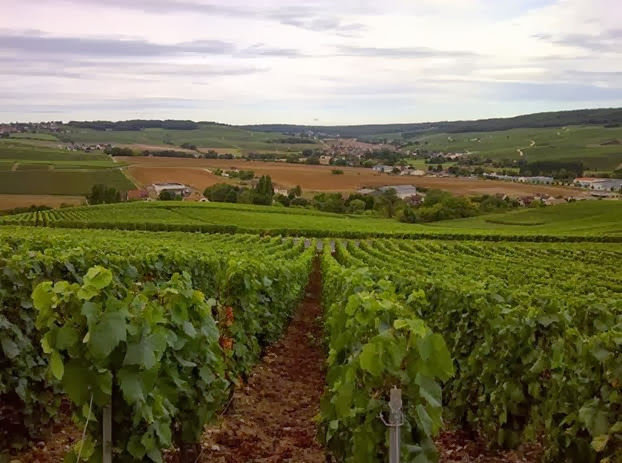 A Champagne valley near Epernay