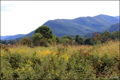 Cades Cove Loop