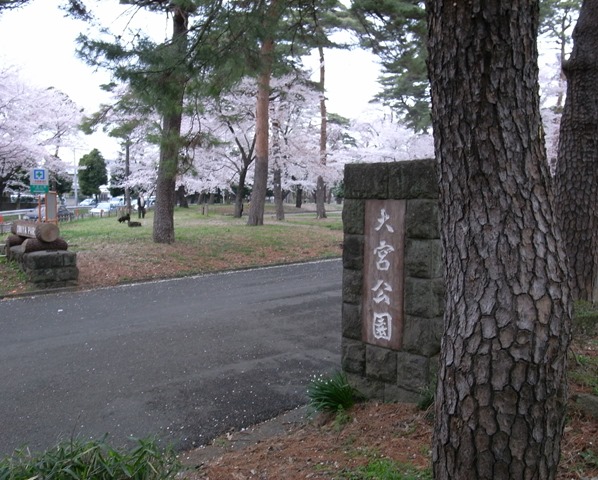 大宮公園