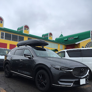 CX-8
