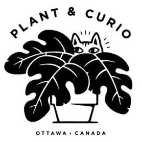 Plant & Curio logo