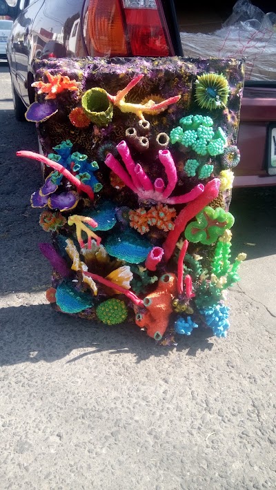 Photos of ACUARIO OCEAN DEPOT