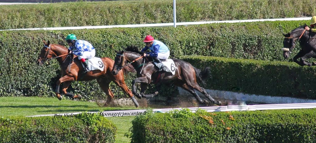 Photos Auteuil le 27-09-2014 IMG_4465