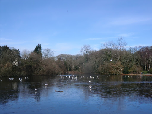 CIMG2222 Mere Pond in winter, Walton-on-the-Hill