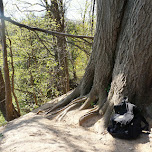 Dundas Peak hike in Dundas, Canada 