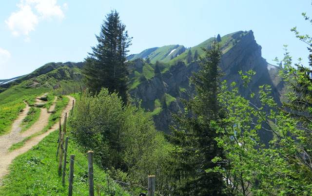  Rückblick von der Brunnenauscharte auf Hochgrat Nagelfluhkette