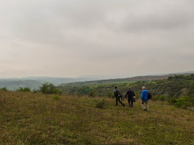P1060660.jpg