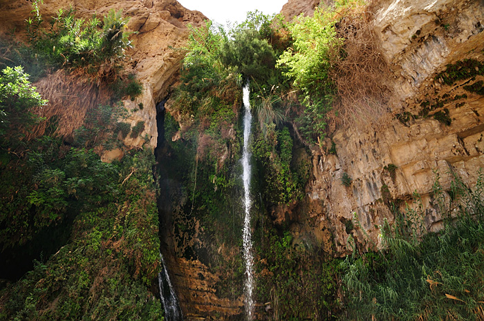 Ein Gedi, Marea Moartă