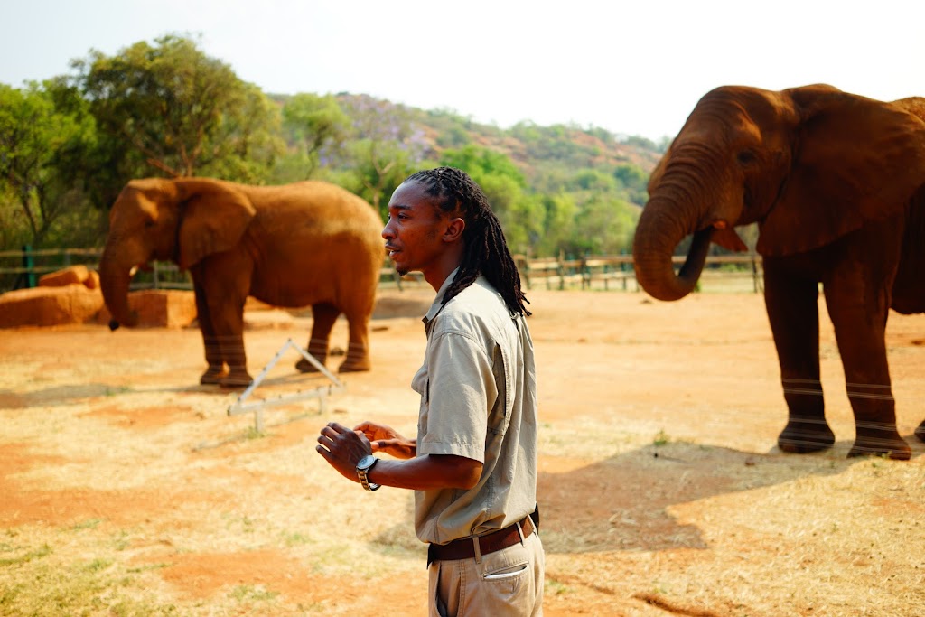 elephant sanctuary