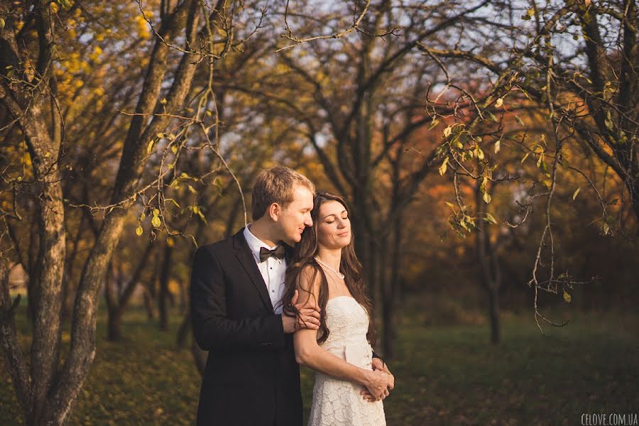 Wedding photographer Anna Gorbenko (annagorbenko). Photo of 21 October 2013