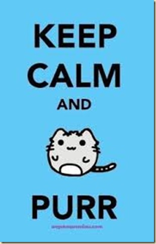 keep calm purr