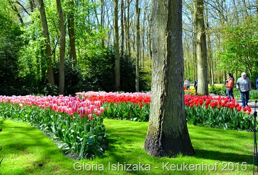 1 .Glória Ishizaka - Keukenhof 2015 - 19