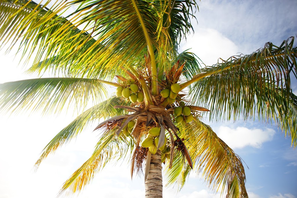 Curaçao top 3 beaches