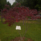 Emily's Memorial Places