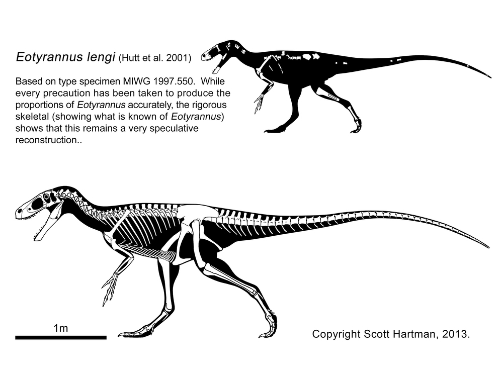 파일:external/static.squarespace.com/Eotyrannus.jpg