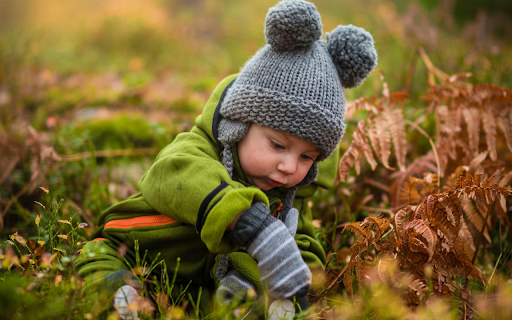 Autumn Baby Explorer Preview 2