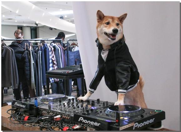 Menswear Dog 5.jpg