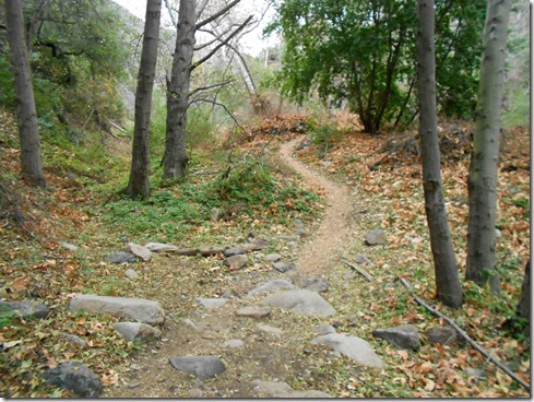trabuco trail