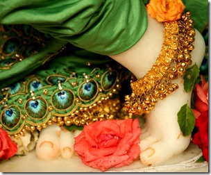 [Krishna's lotus feet]