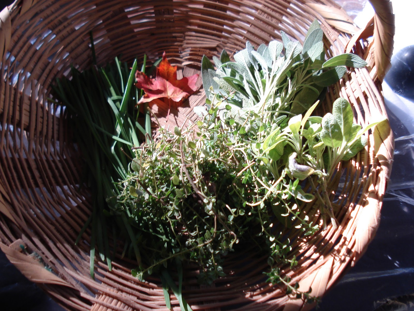 My Mini Fall Harvest