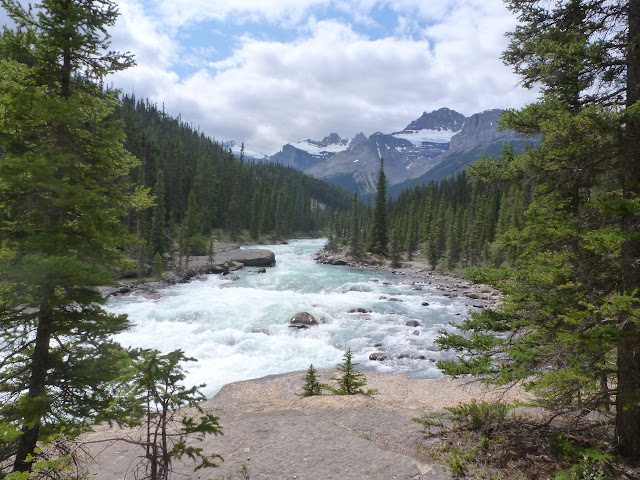 LAS ROCOSAS DE CANADA. YELLOWSTONE Y GRAND TETON. - Blogs de Canada - Icefields Parkway. Llegada a Jasper. 5 de Julio (20)