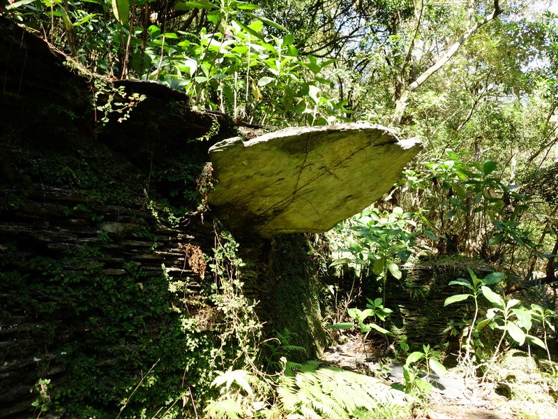 2014_0101-0105 萬山神石、萬山岩雕順訪萬頭蘭山_0102